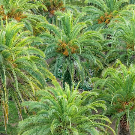 Campo Dell'oro Szálloda Ajaccio