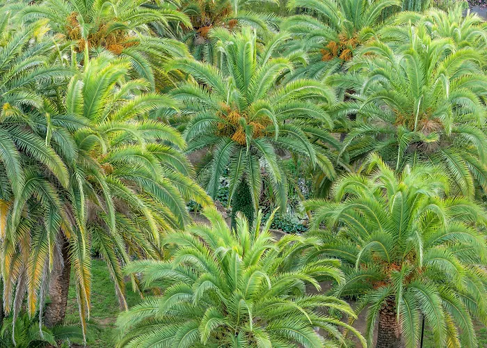 Campo Dell'oro Ξενοδοχείο Αζάτσιο